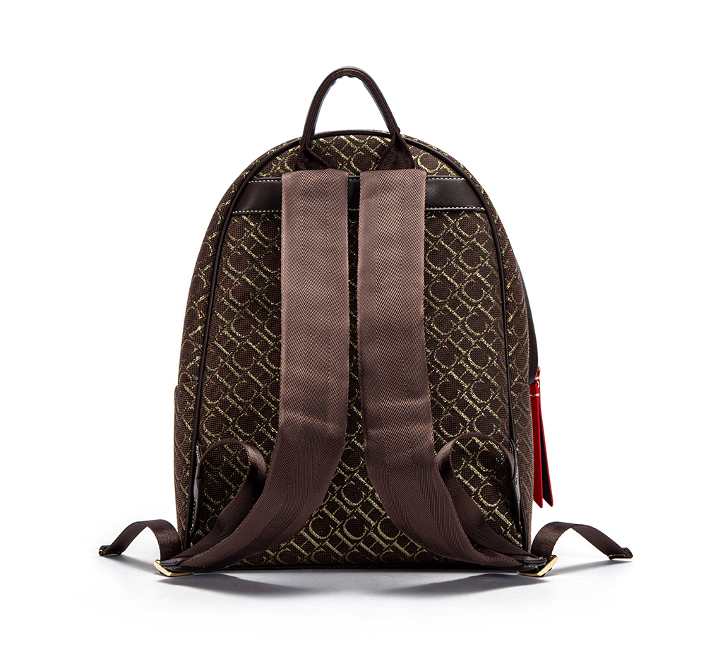 حقيبة كتف CH فاخرة ذات سعة كبي - مراجعة Xl Luxury Bags وسعره